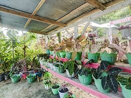 OYO Homes 91148 Homesstay Desa Wisata Bahoi Near Ekowisata Mangrove De