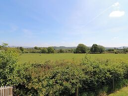 Hill Radnor - The Sheepfold