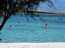 Apartments Carpe Diem