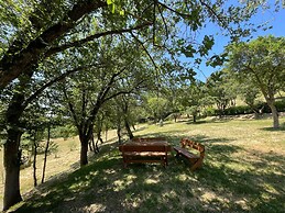 Vicolo - Sleeps 5 With air Con, Wifi, Balcony for Dining and Pool