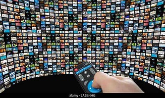 The Royal Luxury Tiger Patio