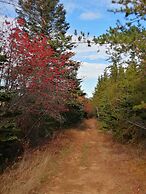 Les Trois Mentors Ghandi, Mandela, Luther King