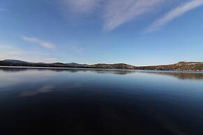 Les Trois Mentors Ghandi, Mandela, Luther King