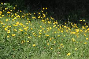 Les Trois Mentors Ghandi, Mandela, Luther King