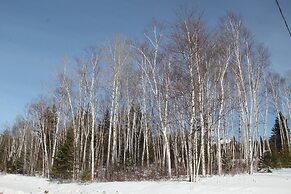 Les Trois Mentors Ghandi, Mandela, Luther King