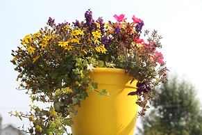 Les Trois Mentors Ghandi, Mandela, Luther King