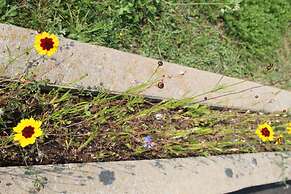 Les Trois Mentors Ghandi, Mandela, Luther King