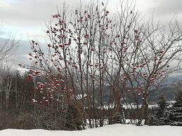 Les Trois Mentors Ghandi, Mandela, Luther King