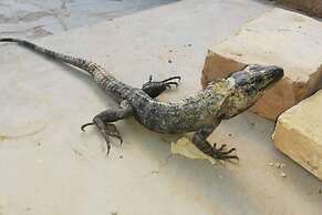 Casa Rustica Reserva Biosfera Tehuacan Cuicatlan