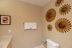 Phoenix IX by Brett Robinson Vacations