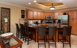 Phoenix IX by Brett Robinson Vacations