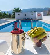 Xenos Villa 6 With a Private Pool Near the sea