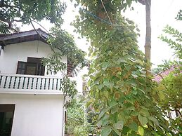 More Attractive Wonderful 1950 Mid-century Home With Another Newly Bui