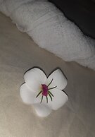 Pousada Estresse Zero