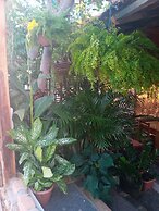 Pousada Estresse Zero