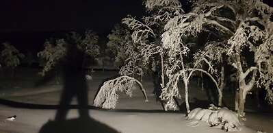 Elvestua House in Nature