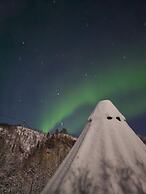 Elvestua House in Nature