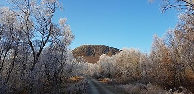 Elvestua House in Nature