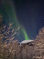 Elvestua House in Nature