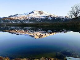 Elvestua House in Nature