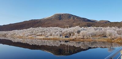 Elvestua House in Nature