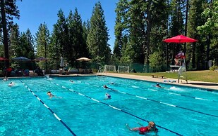 Highlandhouse Kid Dog-friendly