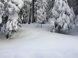 Highlandhouse Kid Dog-friendly