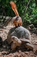 Royal Andilana Resort & Spa