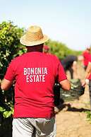 Bononia Estate Winery & Resort