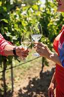 Bononia Estate Winery & Resort