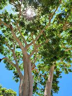 Pousada Rancho Bonito