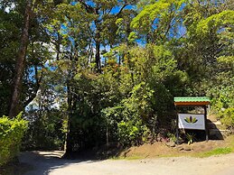 Hotel Flor de Bromelia