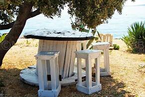 Olive House