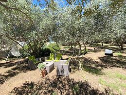Olive House