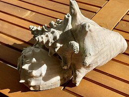 The Cove - Condo Hotel - Perfect Location