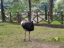 Rancho Ecoturistico El Faro