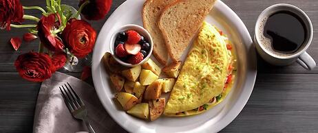 Embassy Suites by Hilton Irving Las Colinas