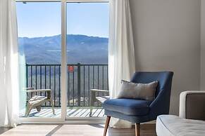 Modern Mountain Escape