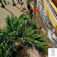 Hermosa Suites n the heart of Punta Cana