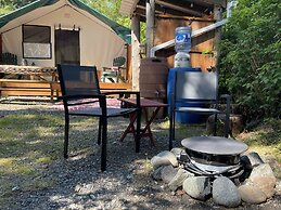 So Damn Lucky Glamping