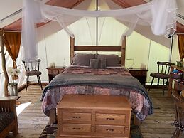 So Damn Lucky Glamping