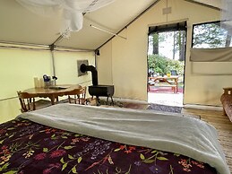 So Damn Lucky Glamping