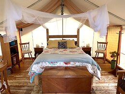 So Damn Lucky Glamping