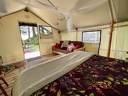 So Damn Lucky Glamping