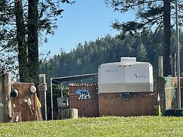 So Damn Lucky Glamping