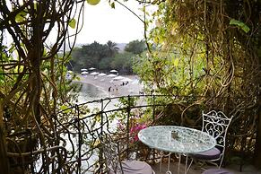 Ein Bokek Rose in Eilat