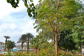 Ein Bokek Rose in Eilat