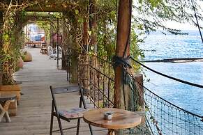 Ein Bokek Rose in Eilat