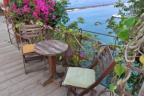 Ein Bokek Rose in Eilat