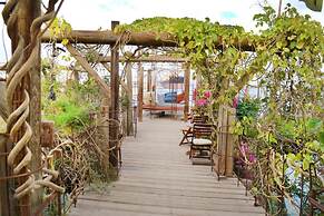 Ein Bokek Rose in Eilat